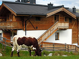 Berghütte Silberleiten in Österreich