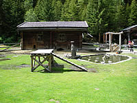 kleiner Bauernhof in der Finkau