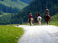 Wanderung von Gerlos zur Lackenalm 06