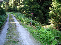 Wanderung von Gerlos-Gmünd ins Wimmertal 15
