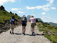 Wanderung von Silberleiten über die Gletscherblickalm und Trisslalm zur Finkau 03 Wanderung von Silberleiten über die Gletscherblickalm und Trisslalm zur Finkau 03
