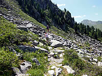 Wanderung von Silberleiten über die Gletscherblickalm und Trisslalm zur Finkau 06 Wanderung von Silberleiten über die Gletscherblickalm und Trisslalm zur Finkau 06