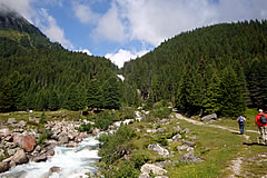 Wanderungen rund um die Hütte