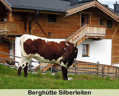 Berghütte Silberleiten