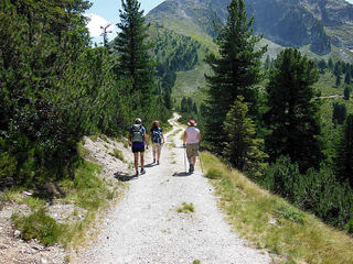 wanderung-finkau05g.jpg